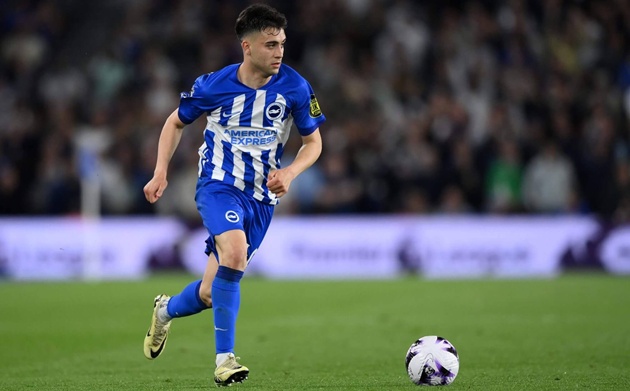 Buonanotte thi đấu cho Brighton năm 2024