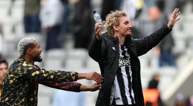 Ảnh bài viết Nick Woltemade: Sự khác biệt làm nên ấn tượng tại Newcastle