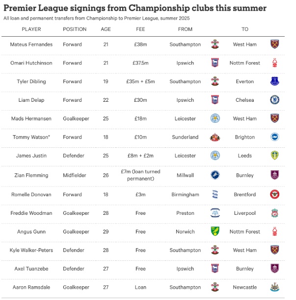 Các bản hợp đồng chuyển đến NHA từ Championship hè vừa rồi.