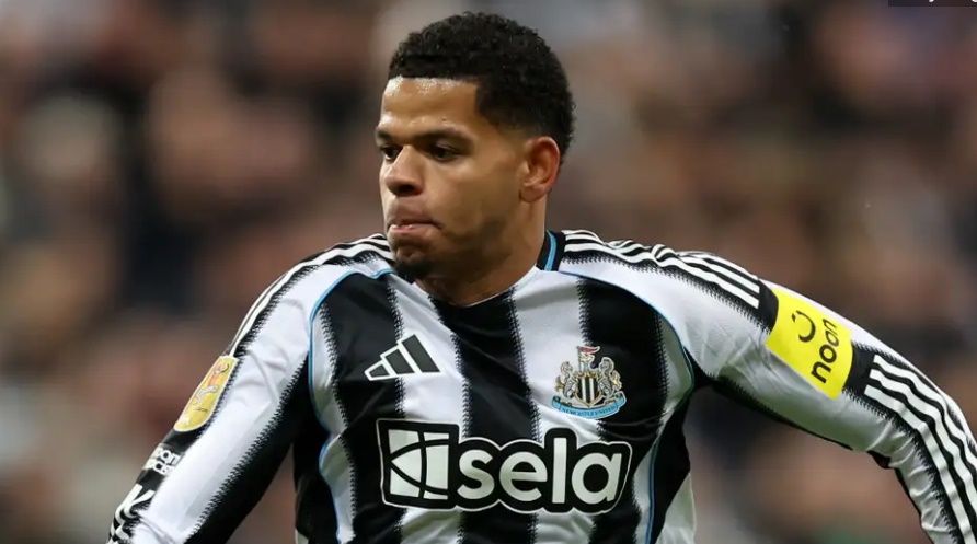 Osula suýt rời Newcastle vào hè vừa rồi.