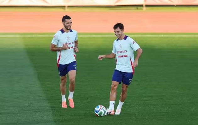 Ảnh bài viết Bộ đôi Arsenal: Từ kép phụ thành 'xương sống' La Roja