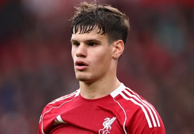 Ảnh bài viết Redknapp thất vọng với Kerkez và Van Dijk