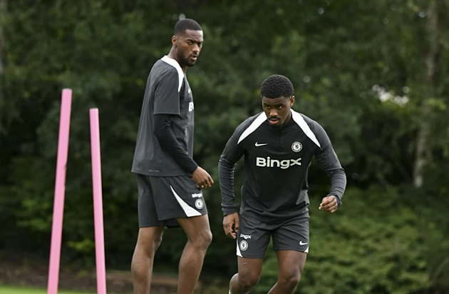 Hato có tiềm năng phát triển khá lớn.