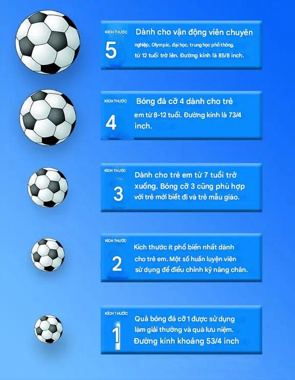 Các kích cỡ bóng đá tiêu chuẩn FIFA.