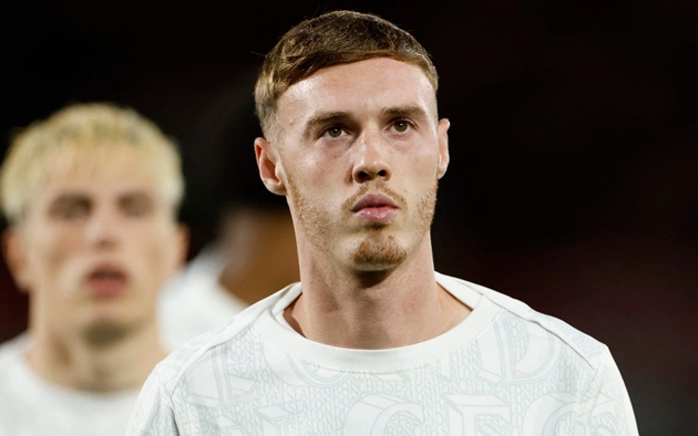 Ảnh bài viết Palmer quyết trở lại Chelsea và giữ hy vọng World Cup