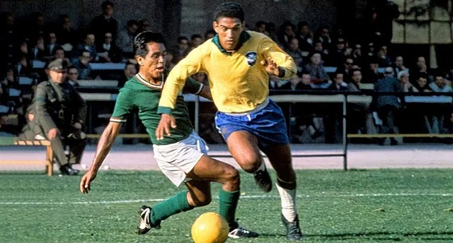 Garrincha nổi