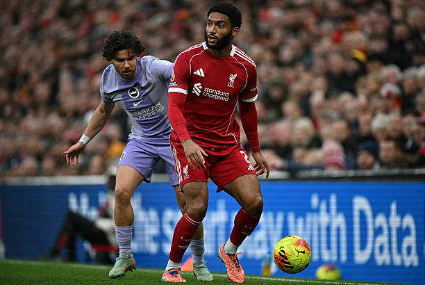 Gomez chưa bao giờ ph&aacute;t huy hết tiềm năng của m&igrave;nh. 