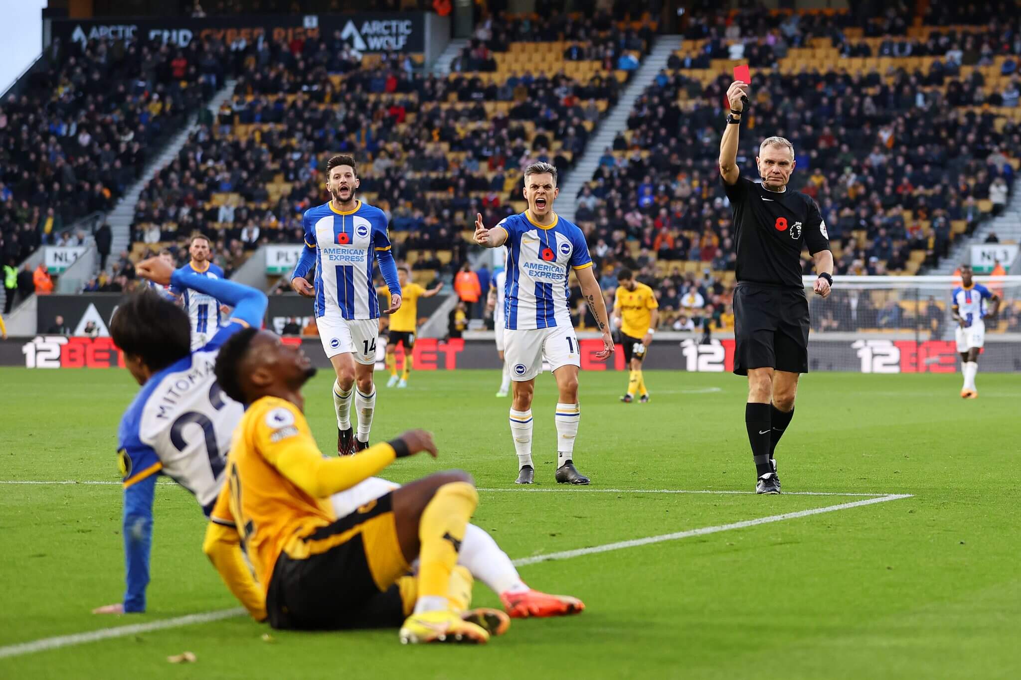 Scott r&uacute;t thẻ đỏ trong trận đấu giữa Brighton v&agrave; Wolves.