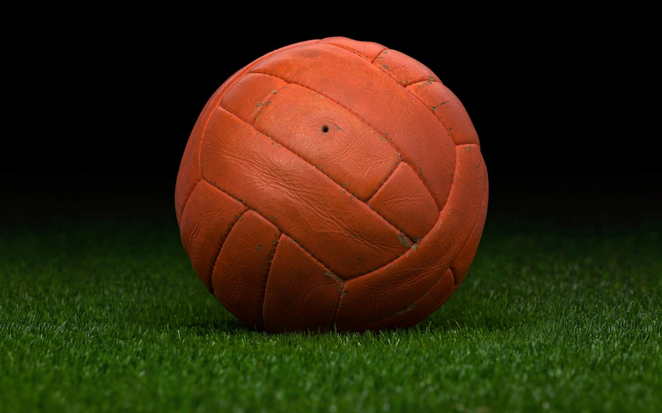 Tr&aacute;i n&oacute;n