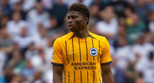 MU đ&atilde; theo d&otilde;i Baleba một thời gian d&agrave;i.