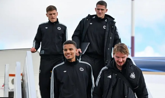 Ảnh bài viết Newcastle mắc bệnh khôn nhà dại chợ