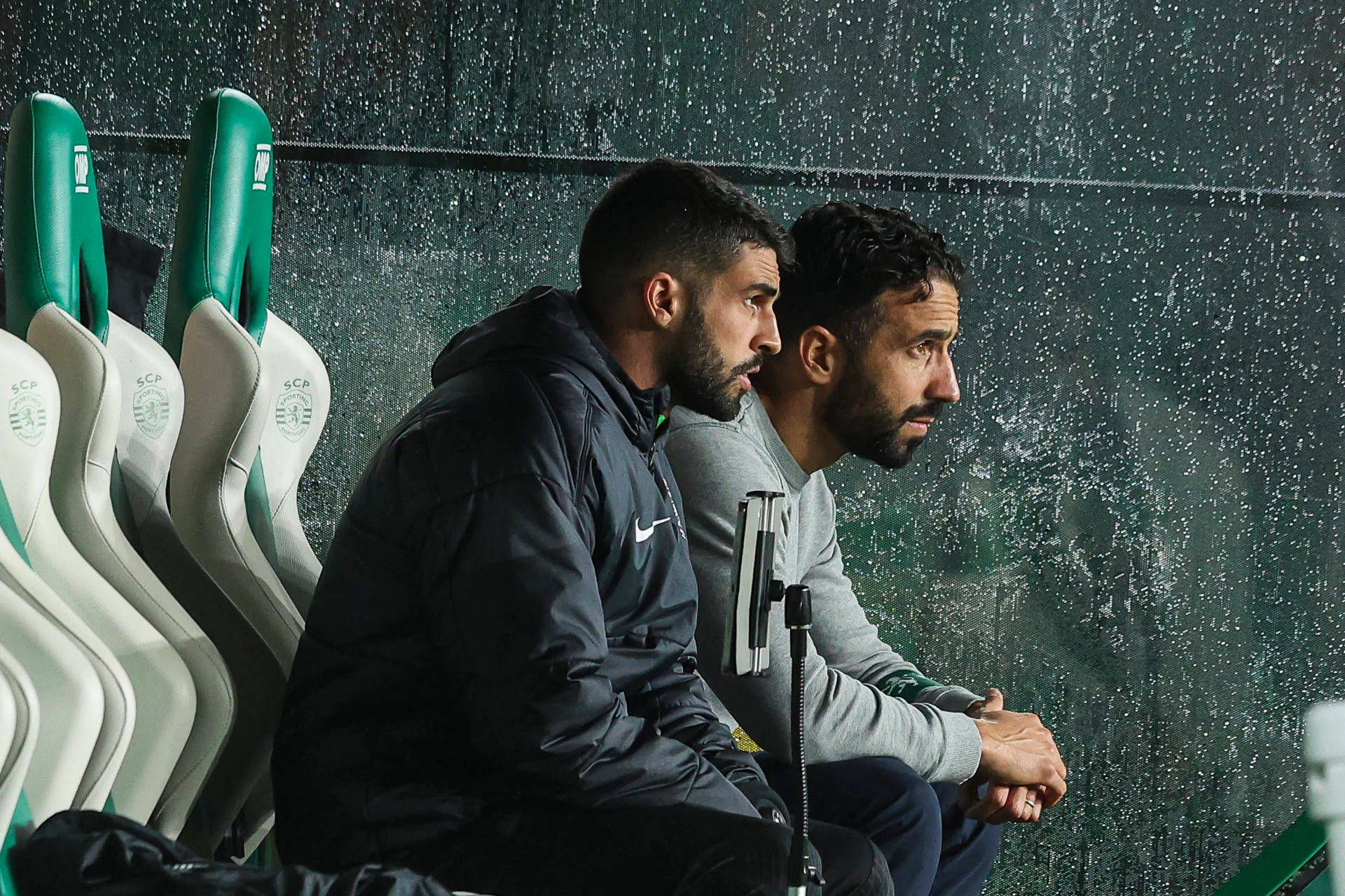 Dữ liệu của Hasegawa, hiện thực của Fernandes.