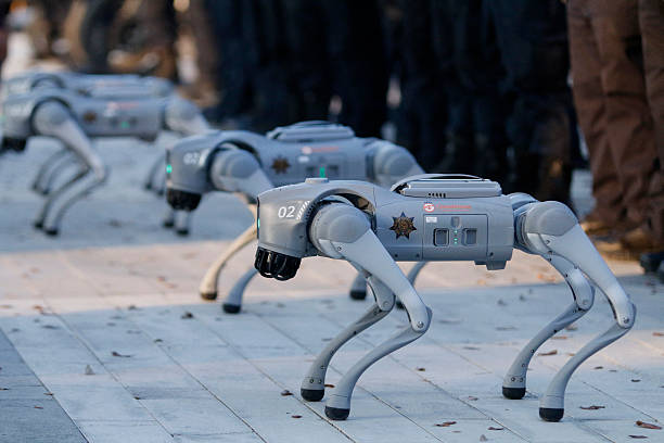 C&aacute;c ch&uacute; ch&oacute; Robot sẽ được sử dụng như những nh&acirc;n vi&ecirc;n an ninh tại World Cup 2026.