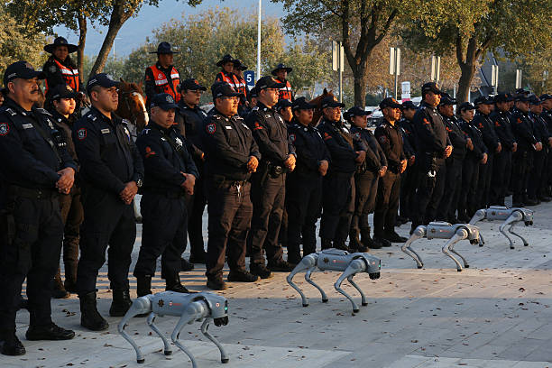 C&aacute;c sĩ quan cảnh s&aacute;t Mexico b&ecirc;n cạnh 