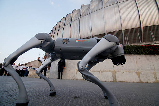 Ph&iacute;a Mexico dự t&iacute;nh sử dụng lực lượng ch&oacute; Robot để đi tuần dưới mặt đất, kết hợp với sự gi&aacute;m s&aacute;t của Drone từ tr&ecirc;n kh&ocirc;ng.