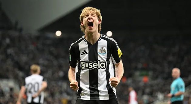 Gordon lọt vào mắt xanh Arsenal.