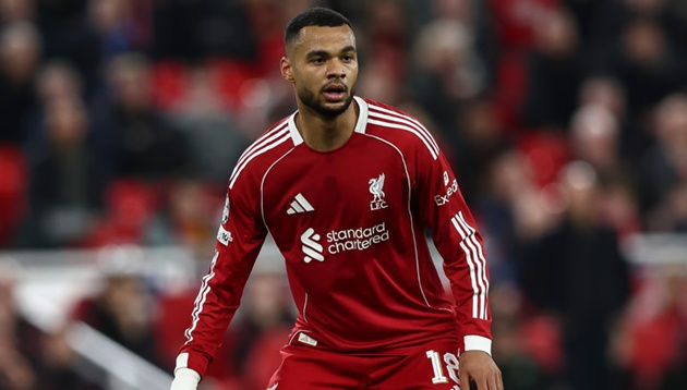 Ảnh bài viết Liverpool khó dùng Gakpo đổi thần đồng Yan Diomande