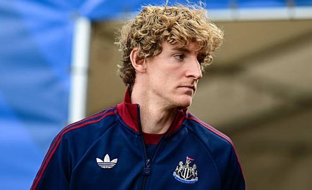 Ảnh bài viết Newcastle mất Anthony Gordon ở trận gặp Arsenal