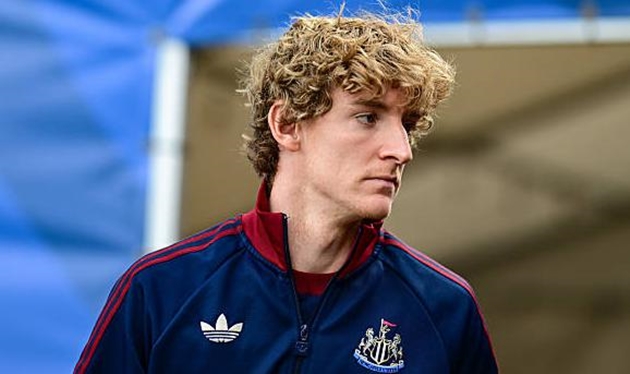 Anthony Gordon có thể chuyển tới Bayern Munich.
