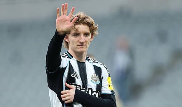 Ảnh bài viết PSG nhắm Gordon thay Barcola trước sự chèo kéo từ Anh
