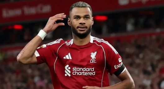 Ảnh bài viết Fabrizio Romano xác nhận Liverpool lắng nghe đề nghị dành cho Cody Gakpo