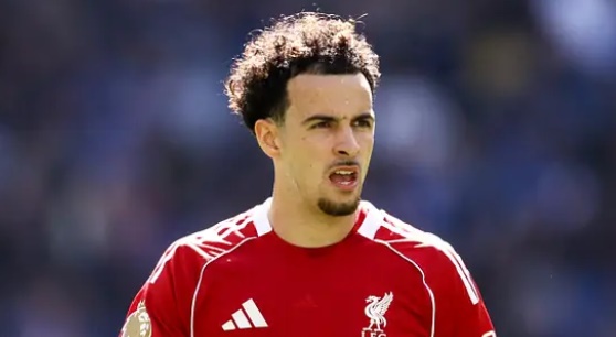 Ảnh bài viết Curtis Jones là lối thoát hay rào cản của Liverpool hè này?