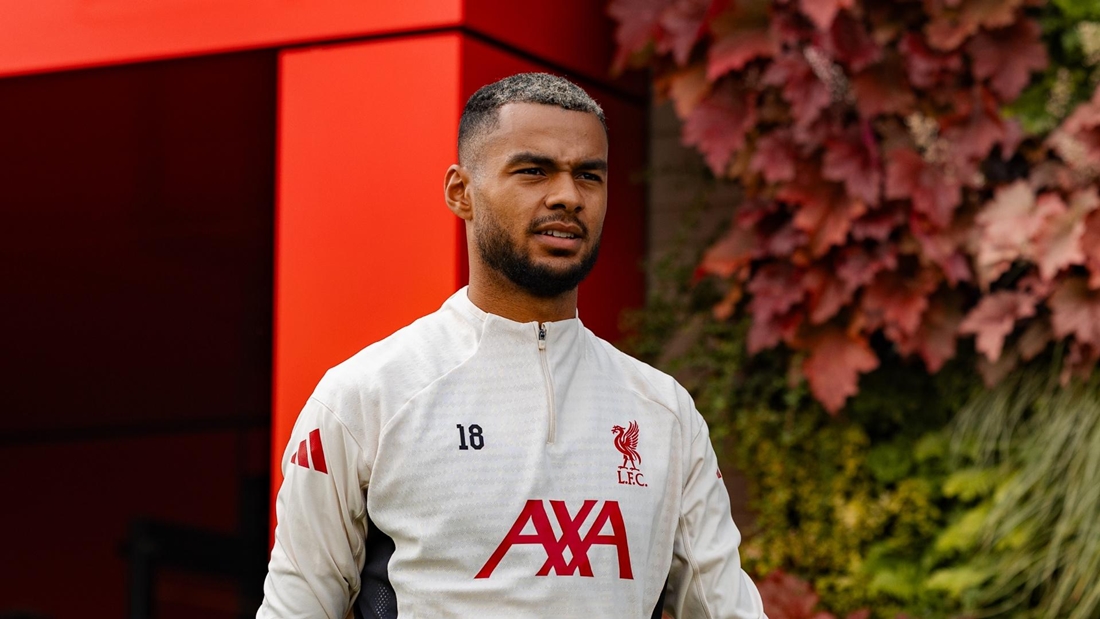 Ảnh bài viết Romano xác nhận Tottenham muốn chiêu mộ Gakpo