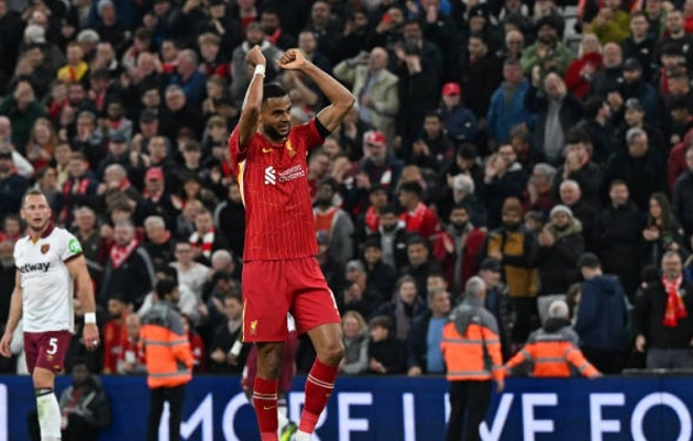 Tottenham muốn có chữ ký của Gakpo. Ảnh: Getty.
