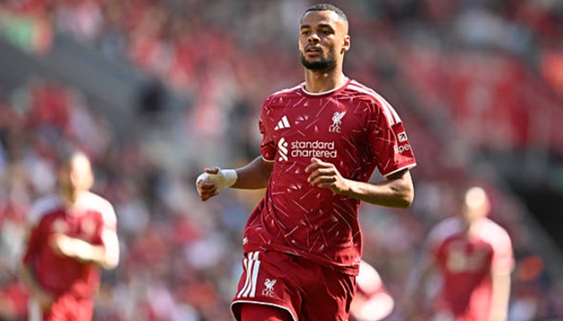 Liverpool sẵn s&agrave;ng b&aacute;n Cody Gakpo? Ảnh: Getty Images
