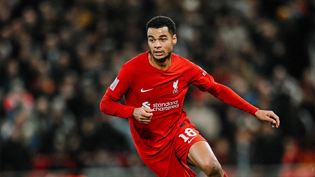 Cody Gakpo được cho là mục tiêu ưu tiên của Tottenham. Ảnh: Liverpool FC.