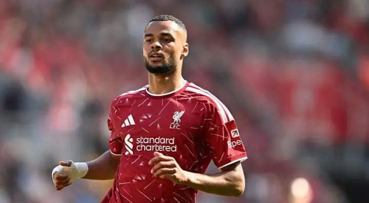 Gakpo đang là mục tiêu trong tầm ngắm của Tottenham. Ảnh: Getty.