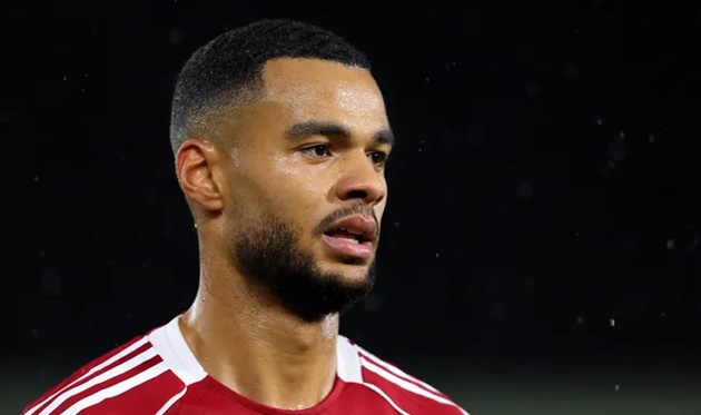 Ảnh bài viết Tottenham đạt thỏa thuận thâu tóm Cody Gakpo từ Liverpool