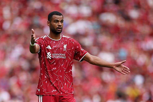 Ảnh bài viết Romano: Cody Gakpo sẵn sàng đến Tottenham