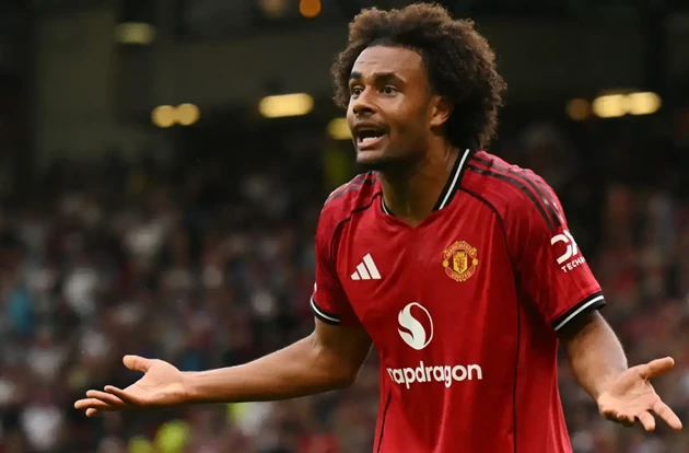 Joshua Zirkzee được nhiều đội b&oacute;ng Serie A quan t&acirc;m. Ảnh: Getty Images