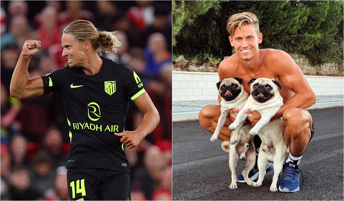 Ảnh bài viết Llorente đặt tên chó là Anfield, Gerrard phản ứng hài hước