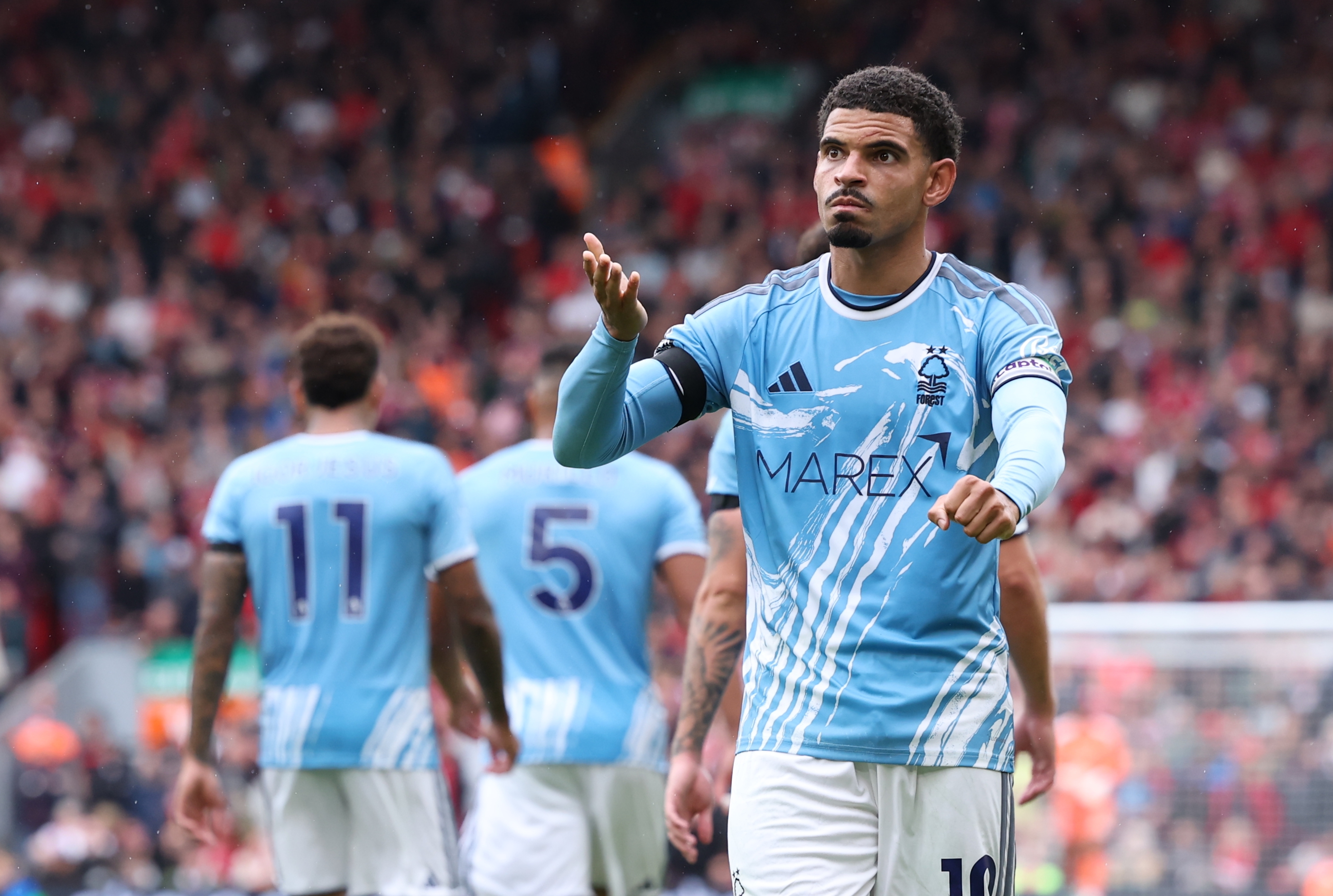 Morgan Gibbs-White xứng đ&aacute;ng được trao cơ hội tr&ecirc;n tuyển Anh. Ảnh: EPA/ADAM VAUGHAN