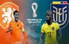 Hà Lan vs. Ecuador: 3 bàn; Cá nhân tỏa sáng