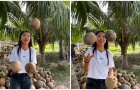 Kỷ lục gia Huỳnh Như hóa nghệ sĩ xiếc tung hứng dừa cực đỉnh