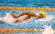 Bơi lội: Kỷ lục gia Quý Phước, Anh Viên thay nhau mang vàng về