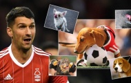 Hậu vệ ghi 2 bàn hạ Arsenal được tặng chó, đặt tên là 'Pháo thủ'