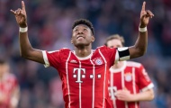 Bayern đón tin mừng khi 'siêu hậu vệ' sẵn sàng cho trận gặp Liverpool