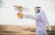 Chim “quý tộc” ở Qatar dự đoán kết quả trận khai mạc World Cup 2022