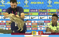 Thành viên tuyển Brazil ném con mèo trong buổi họp báo