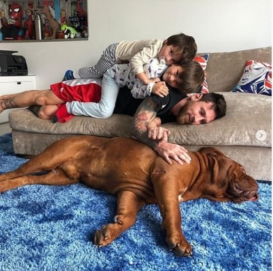 Giật мình ʋới chú chó khổng lồ Hulk của Lionel Messi