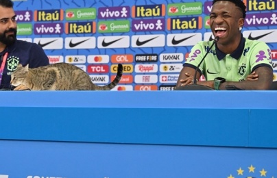  Con mèo đột nhập phòng họp báo, Vinicius cười phá lên 