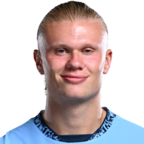 Erling Haaland - Avatar
