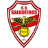 Salgueiros logo