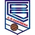 Sarinena