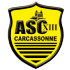 Carcassonne Logo