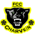 Charvein Logo
